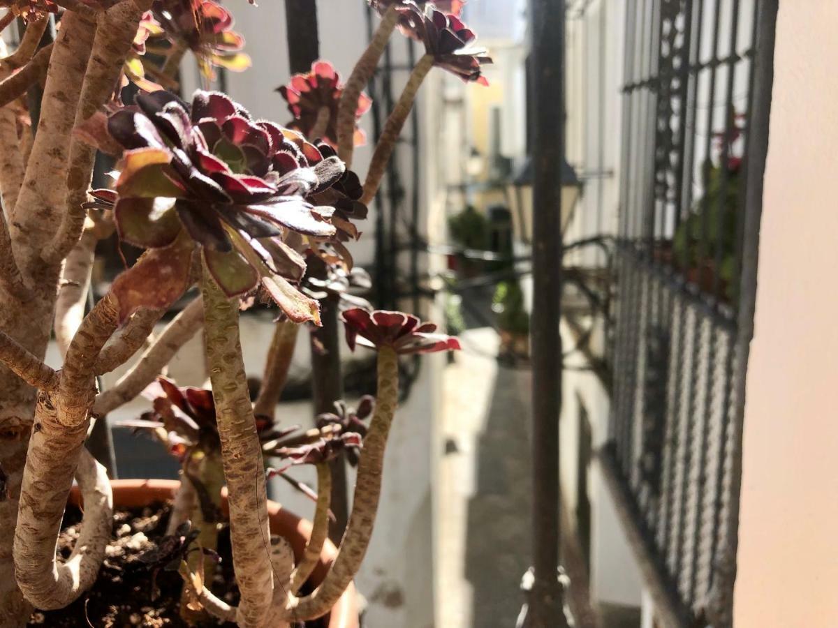 Azogue Studios Tarifa Dış mekan fotoğraf